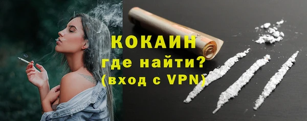 дживик Ладушкин