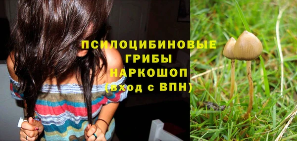 амф Лагань