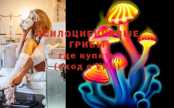 дживик Ладушкин