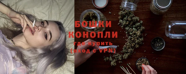 дживик Ладушкин