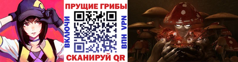 Псилоцибиновые грибы Cubensis  Чекалин 